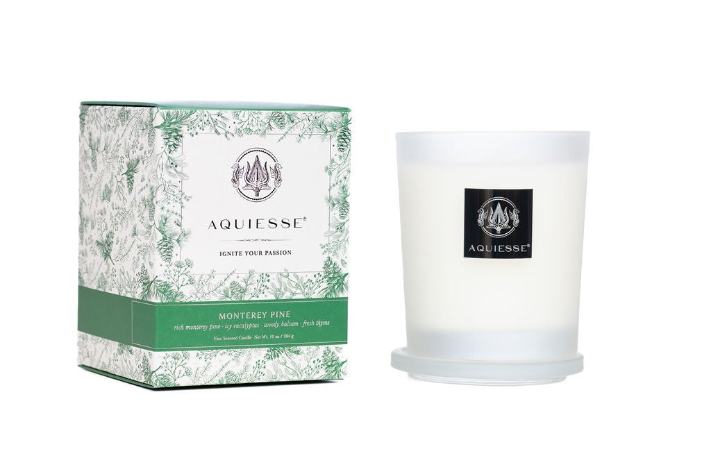 Aquiesse Monterey Pine Scented Holiday Candle in frosted glass reusable vessel