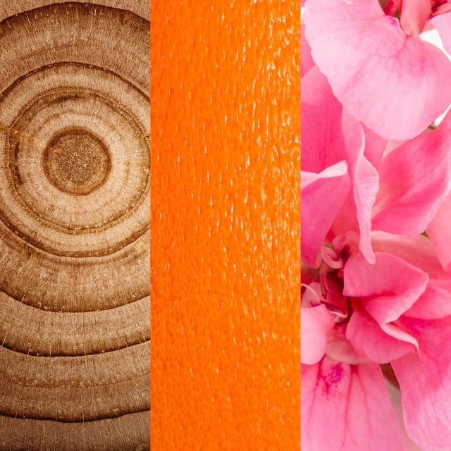 Revive Body Cleanser