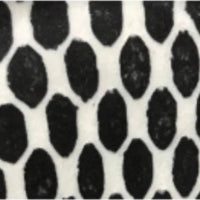 Black Dinnerware Plates