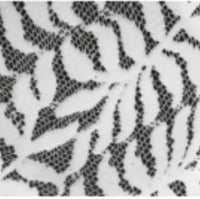 Black Dinnerware Plates