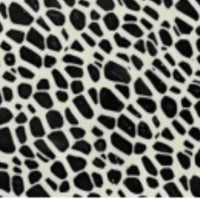 Black Dinnerware Plates