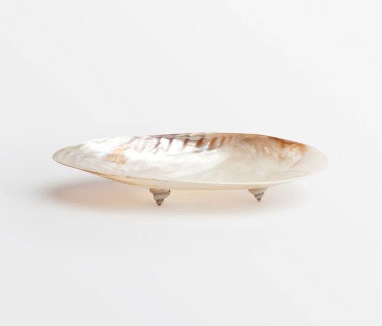 Lucy Decorative Shell Tray
