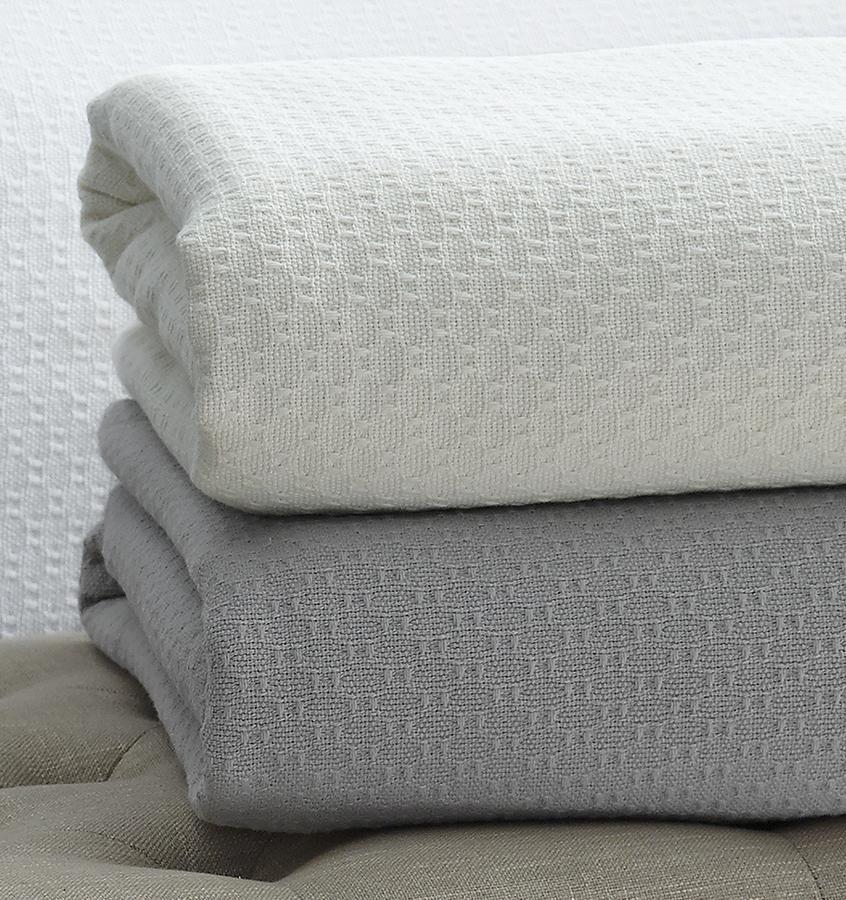 Sferra Corino Cotton Blanket